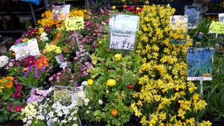 Columbia Road Flower Market